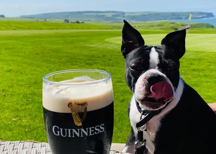 The White House Inn - Whitby